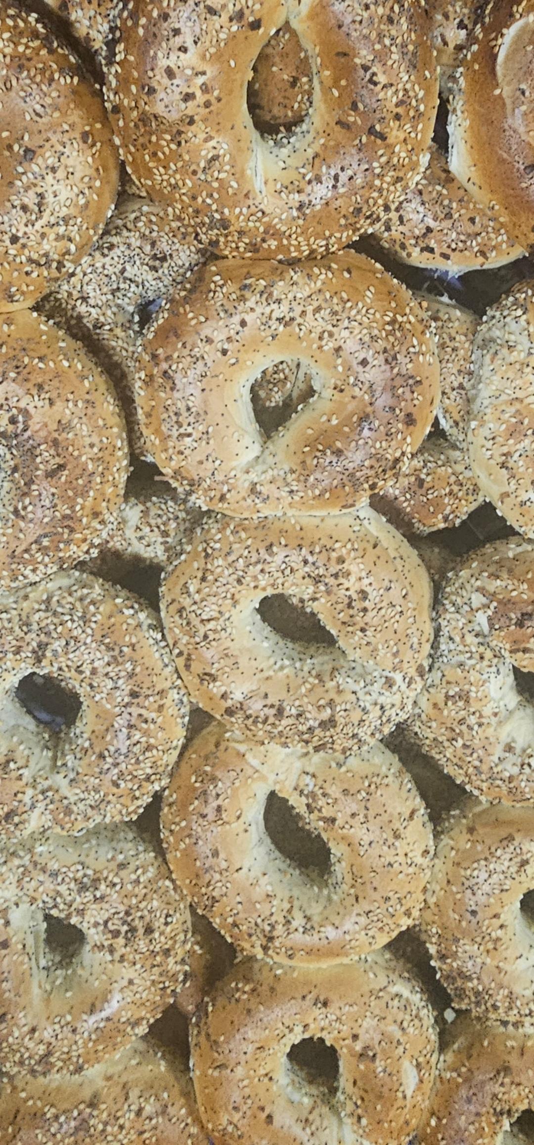 Freshly baked bagel selection served warm at Bagels Etc